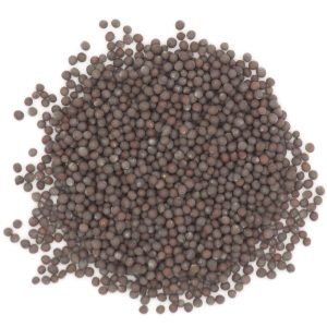 Mustard Seed, Black