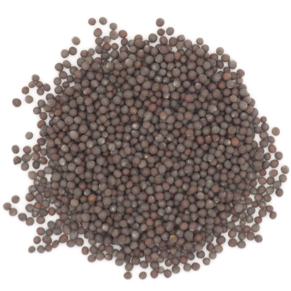 Mustard Seed, Black